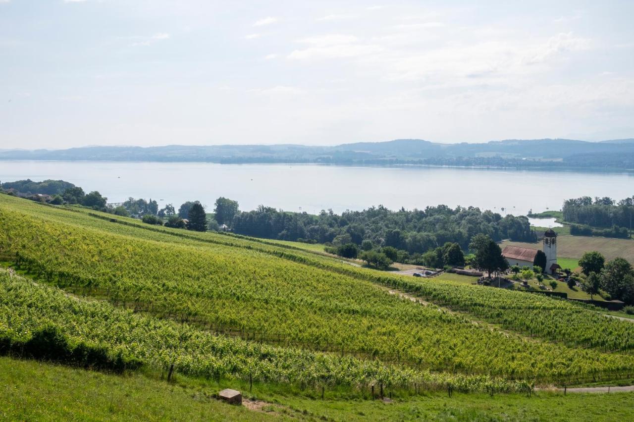Bnb Belle5 Vully-les-Lacs 外观 照片